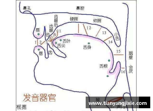 体育明星拔罐揭秘：他们如何利用古老疗法提升运动表现