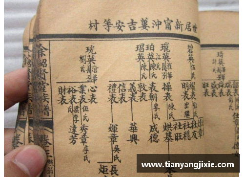 体育明星家谱全景图高清展示，追溯传奇家庭历史与荣誉