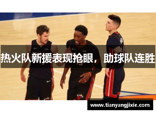 热火队新援表现抢眼，助球队连胜