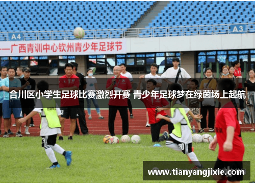 合川区小学生足球比赛激烈开赛 青少年足球梦在绿茵场上起航